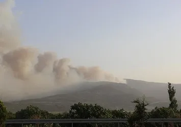 Denizli'de orman yangını!