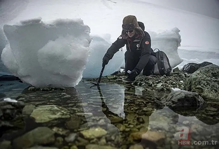Antarktika Seferi’nin kadın görevlisi Hilal Ay 'biyoteknolojik ilaçların' peşinde! Dünyada kimse yapmadı 10