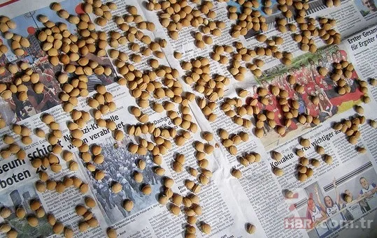 İbrahim Saraçoğlu'ndan ilaç gibi tavsiye! Karın şişkinliğini anında geçiriyor! Meğer bağırsaklara da iyi geliyormuş... 3