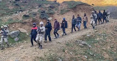 Bitlis'te geçen ay 197 düzensiz göçmen yakalandı