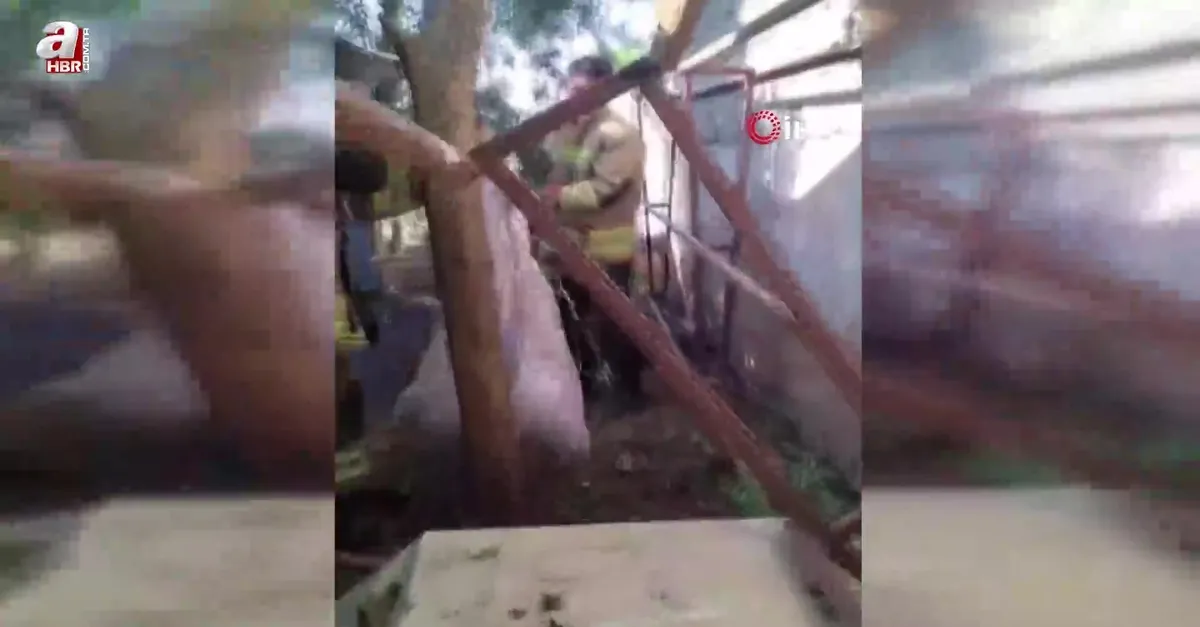 Ava giden sansar tellere takıldı