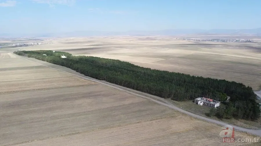 Bozkırın ortasında yemyeşil doğa! Hayran bırakan görüntüler 20