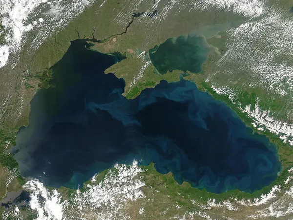 Rusya'dan 'Karadeniz'de savaş hazırlığı' mesajı! Türkiye ve ABD de orada... - 7