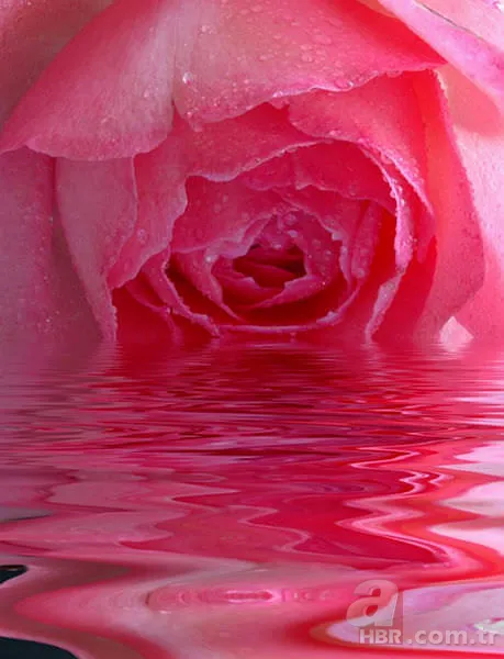 Kepek kabusuna "doğal" çözüm! 7