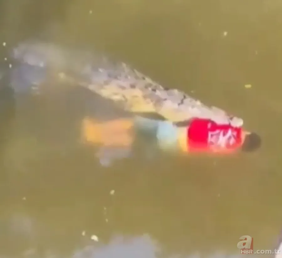 Gören şoke oldu! O ilimizde görüntülendi 2