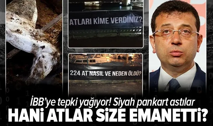 Son dakika: Adalar'da hayvanseverlerden İBB'ye “kayıp at” tepkisi: Siyah pankart astılar: Hani atlar size emanetti?