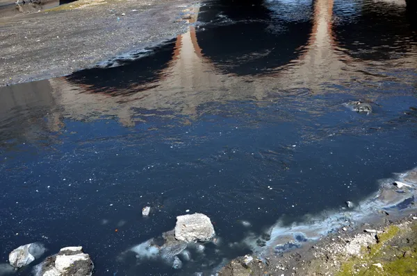 Esenyurt’ta vatandaş CHP’li belediyeye isyan etti! Atık sular, pis koku ve dahası...