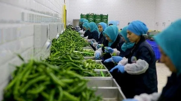 3. Havalimanı’nda büyük provokasyon!