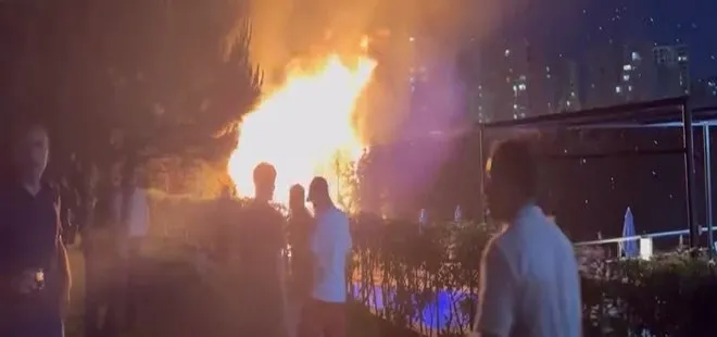 Avcılar'da düğünde facia! Atılan havai fişekler parkta yangın çıkardı