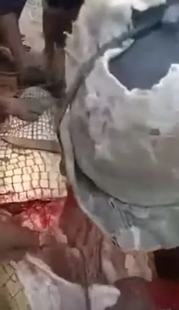 Timsahın karnından insan çıktı! Kan donduran anlar böyle görüntülendi...