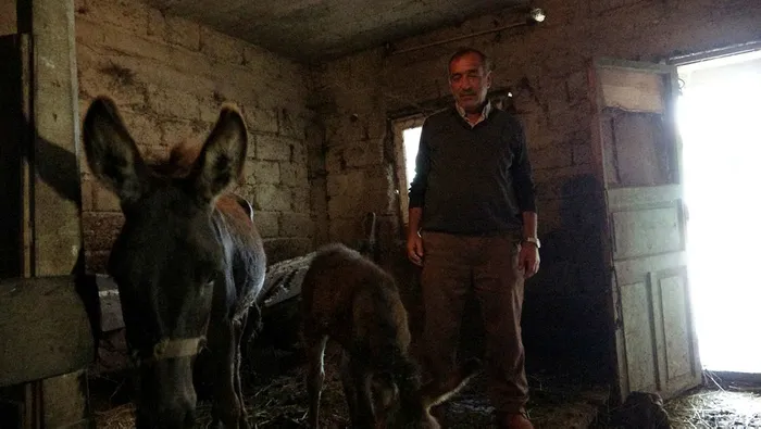 Bir litresi 100 TL'den satılıyor! Eşek sütüne koronavirüs nedeniyle talep azaldı - 1
