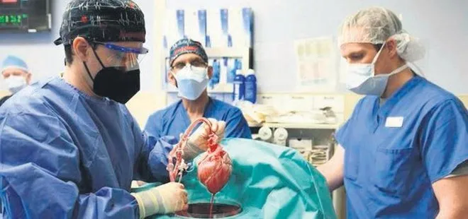 Herkes insana domuz kalbi naklini konuşuyor! Operasyonun esin kaynağı Türk doktor Burçin Ekser konuştu: İnsan hücresinden organ üreteceğiz