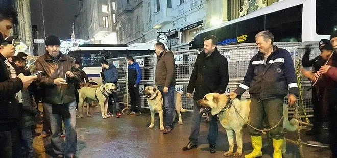 Hollanda’ya kangallı protesto