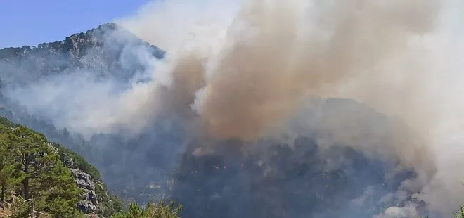 Antalya’da orman yangınına ilişkin bir şüpheli tutuklandı
