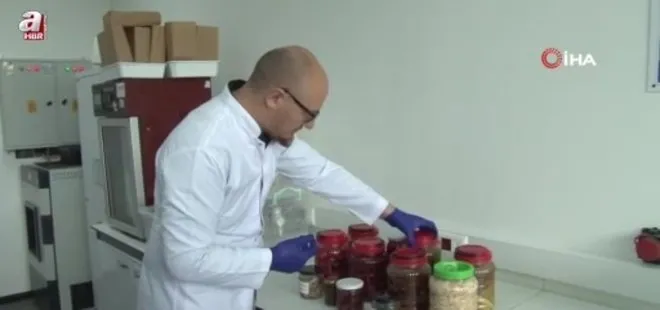 Sivas'ta geleneksel turşular bilime konu oldu