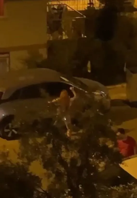 antalyada-gozu-donen-kadin-dehset-sacti-tasla-otomobile-saldirdigi-anlar-kamerada-1664977580105.jpg Antalya’da gözü dönen kadın dehşet saçtı! Taşla otomobile saldırdığı anlar kamerada - 1
