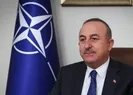 Bakan Çavuşoğlu: İsveç mayınlara bilerek basıyor