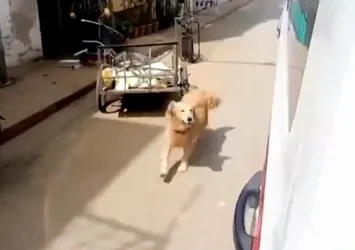 2021’in en çok izlenen videosu Türkiye’den