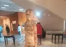 CHP’den heykel skandalı! FETO’ya benzerliği ile tepki topladı