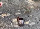 Soğuk çay cinayetinde yeni gelişme