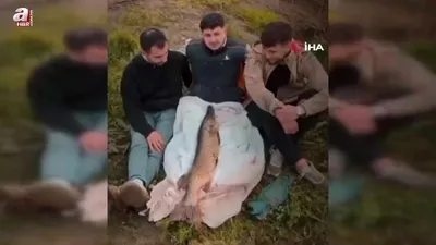 Bebek gibi kucağında salladı