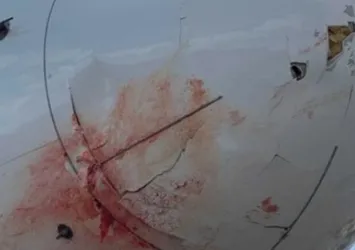 Utah Jazz kafilesini taşıyan uçak, kuş sürüsüne çarptı