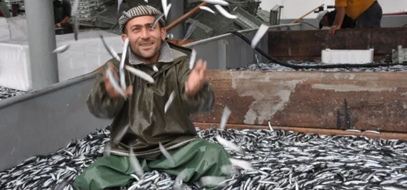 Karadeniz'den en çok hamsi ihracatı Almanya'ya