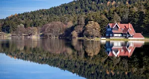 Gölcük Tabiat Parkı’nda ayılara karşı önlem!
