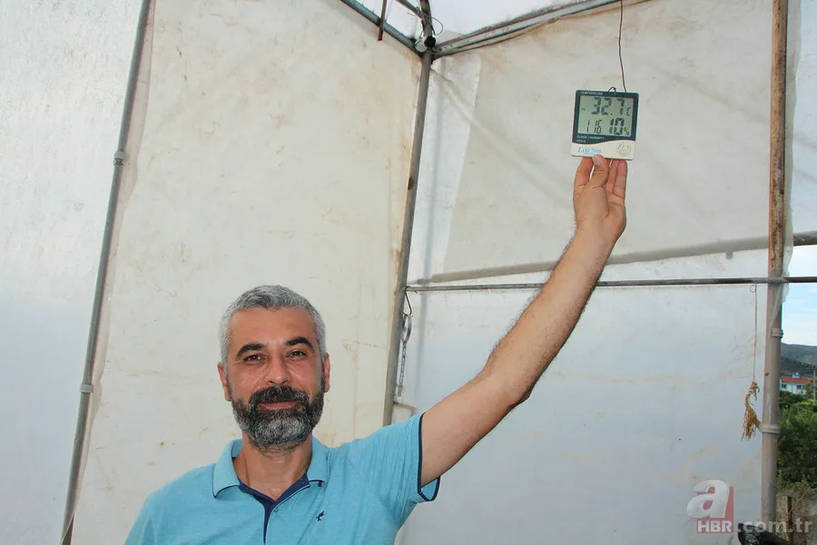 Yetiştirmek için serasına kamera koydu! Fiyatı el yakıyor: Gözümüz gibi bakıyoruz 1