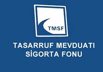 TMSF iki şirketi satışa çıkardı