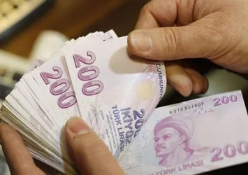 Anadolu Türk Lirası'na sahip çıktı