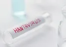 Hantavirüs nedir, nasıl bulaşır? Belirtileri neler?
