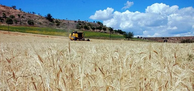 16 ilde hayata geçiyor! Tarımda 50 bin kişiye yeni istihdam