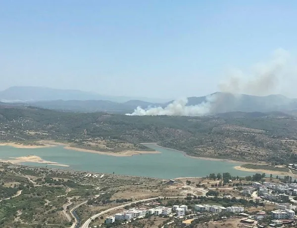 1690202391398.jpg Son dakika: Milas'ta orman yangını: Kontrol altına alındı - 1