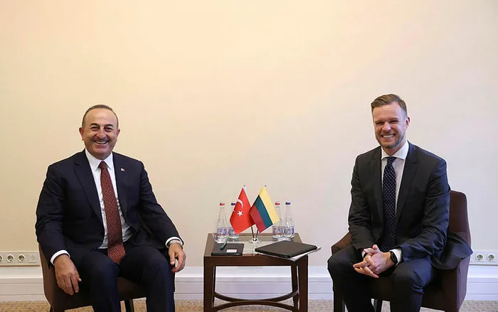 Litvanya Türkiye’den yardım istedi - 1