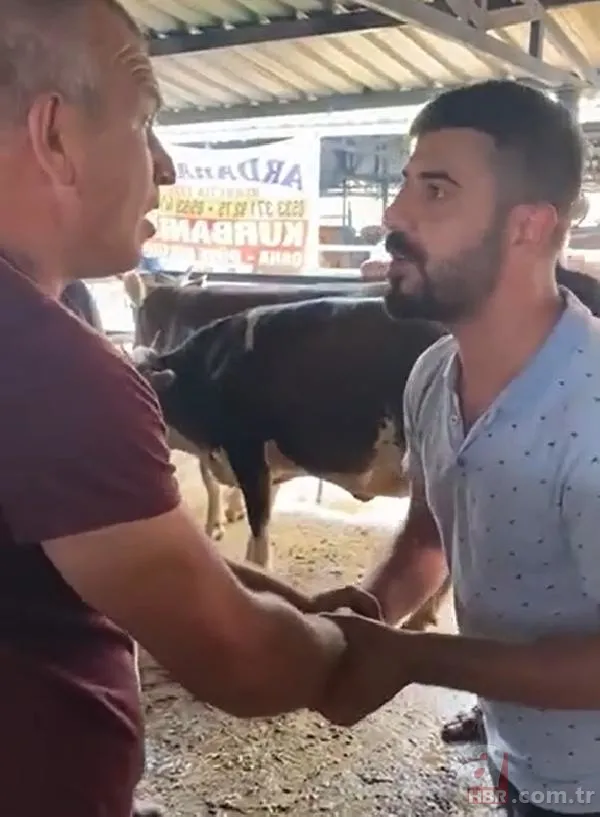 Kurban Bayramı'na saatler kala hareketli dakikalar! Kiminin kolu çatladı, kiminin boğası kaçtı 3