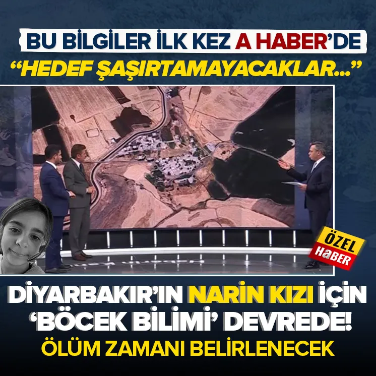 Narinin ölüm zamanı böcek bilimi ile ortaya çıkacak!