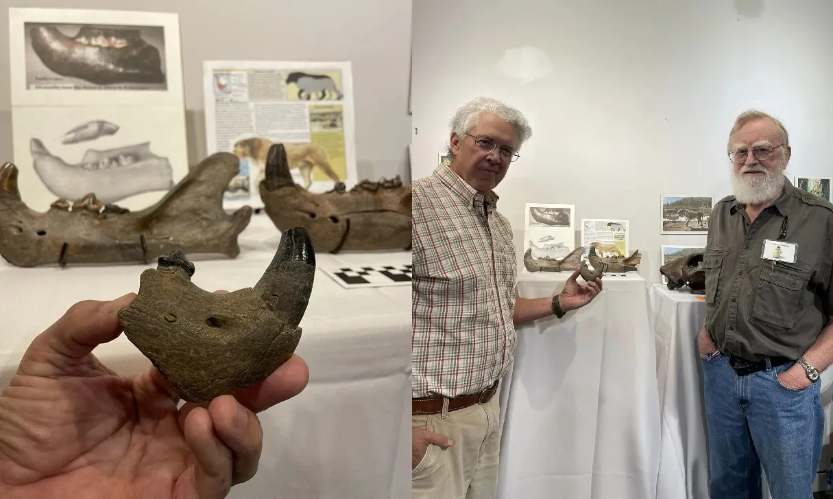 İlk kez 1836'da keşfedilmişti! Sular çekilince ortaya çıktı: Çok nadir...