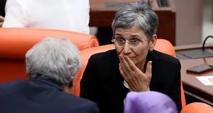 İşte HDP’li Güven’e verilen cezanın gerekçesi