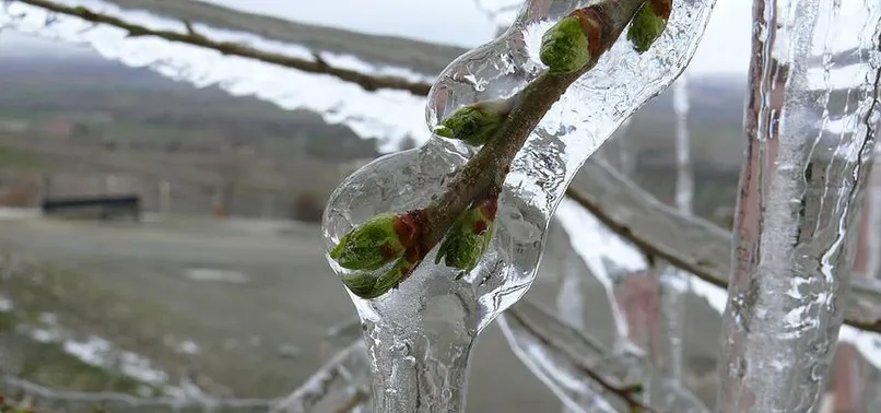 Meteoroloji'den 5 il için don uyarısı