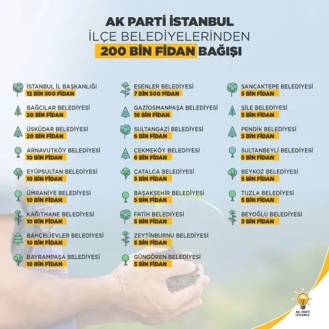 AK Parti İstanbul’dan yanan ormanlara 200 bin fidan bağışı - 1