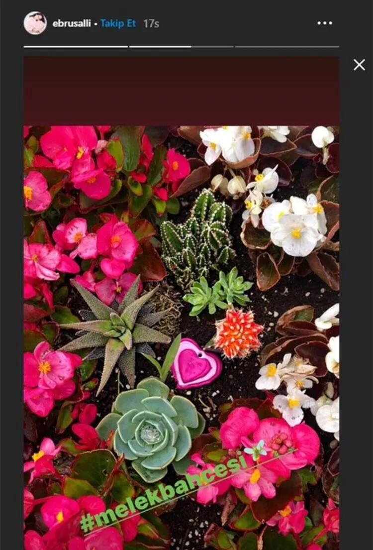 https://iaahbr.tmgrup.com.tr/ef55e9/0/0/0/0/0/0?u=https://iahbr.tmgrup.com.tr/album/2020/05/25/1590393932826.jpg