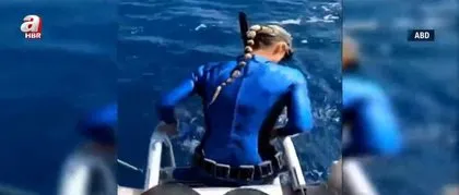 Denize girerken dehşeti yaşadı! Kaplan köpek balığı ile burun buruna gelip...