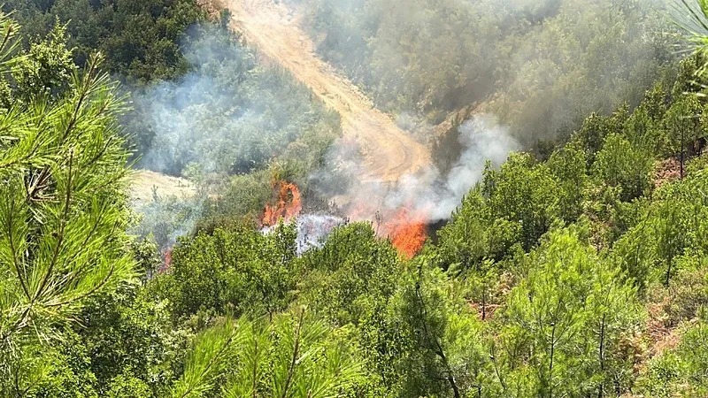 ANTALYA’DA İKİ BÖLGEDE ORMAN YANGINI ÇIKTI