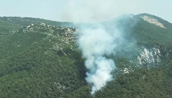 mugla-milasta-orman-yangini-alevler-35-saatin-ardindan-kontrol-altinda-1718208734369.jpg