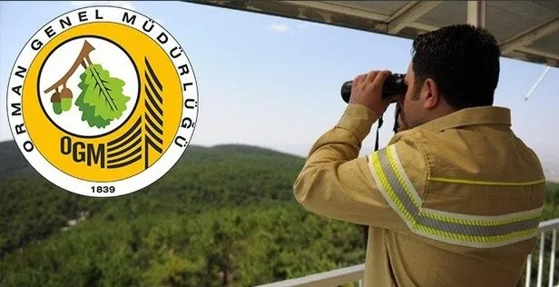 Orman Genel Müdürlüğü personel alımı başvuruları başladı mı? OGM 1.613 personel alımı başvuru şartları nelerdir?