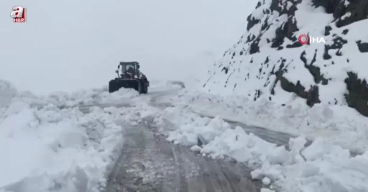 Şırnak'ta karlı yollar açılıyor