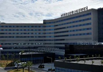 Romanya, Türkiye'nin ‘şehir hastaneleri’ne hayran kaldı
