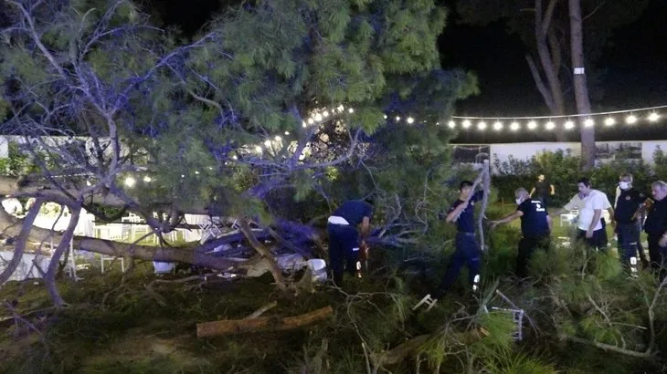 Antalya’da kır düğününde ağaç devrildi: 2’si ağır 10 kişi yaralandı