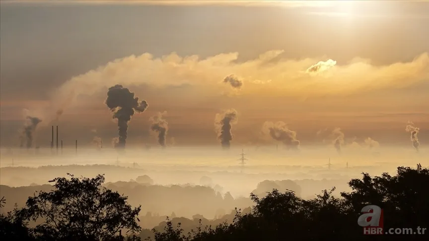 Nefes darlığına karşı gizli güç! Uzmanlar işaret etti: Akciğerleriniz için o vitamin gerekli 5